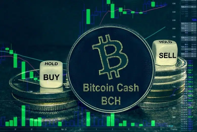 Bitcoin Cash (BCH) May Decline Before Trading Upwards