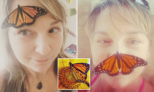 Cancer Survivor and a Butterfly