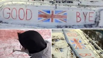 Slovakian Artists Painted a Goodbye Message on a Frozen Lake for UK Brexit