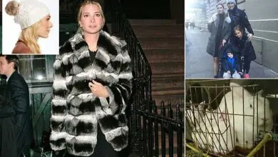PETA Calls out on Ivanka Trump for using Real Rabbit Fur