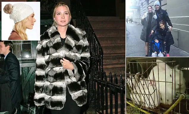 PETA Calls out on Ivanka Trump for using Real Rabbit Fur