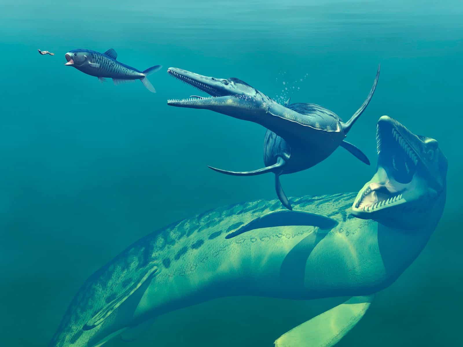 Researchers Discover Plesiosaurus Movement Secrets