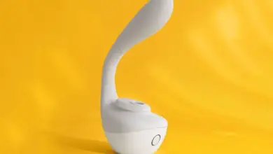 Sex Toy