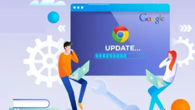 Google Chrome’s New Update Focuses on Privacy & Security