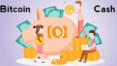 Bitcoin Cash (BCH) News