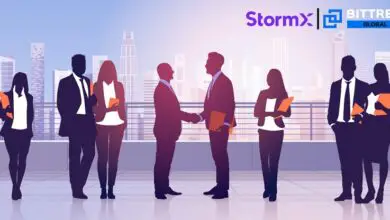 CEO of Bittrex to Join the Board of Directors in StormX