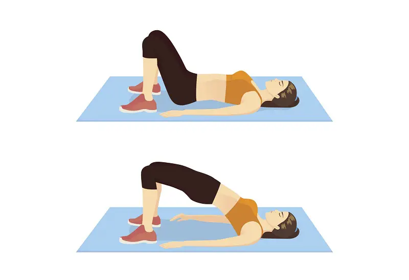Bridge - Ab Exercises