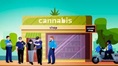 Plymouth Businessman Charged for Dealing with Cannabis