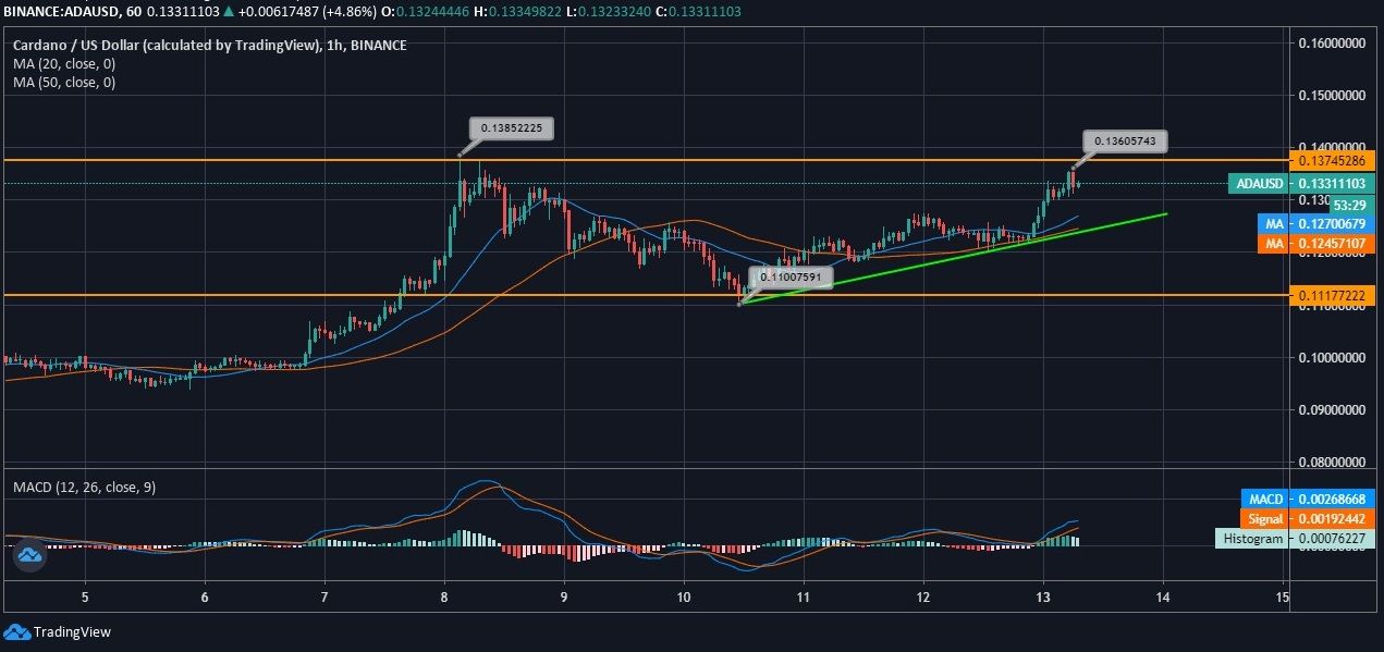 Cardano News