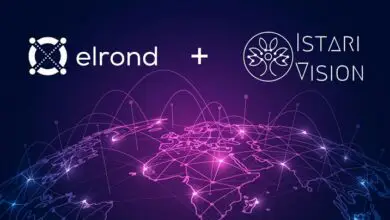 Elrond Collaborates With Istari Vision to Expand in DACH Region