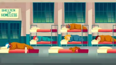 Lewistone NGOs Demand Permanent Shelter For the Homeless Families