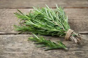 Rosemary