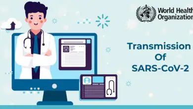 Transferal of SARS-CoV-2: A Brief Overview