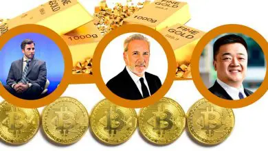 Bitcoin vs Gold: Pomp and Peter Schiff Debate Over It