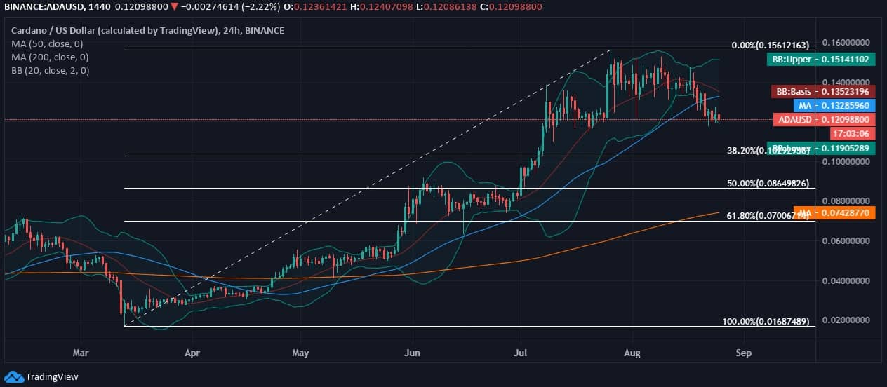 Cardano News