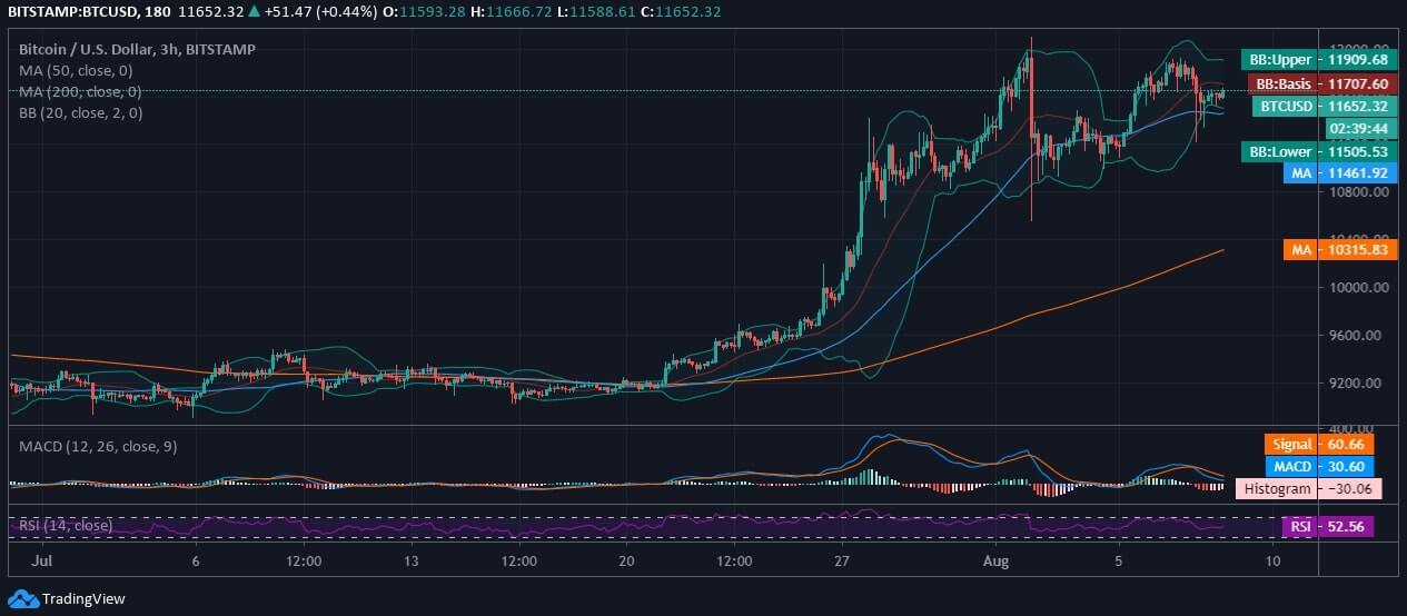 Bitcoin News