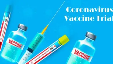 Sinovac Biotech Applies for Coronavirus Vaccine Trial
