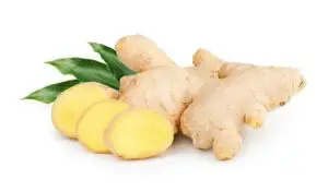 Ginger