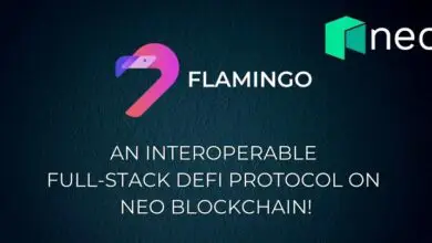 Neo Smart Economy Unveils Flamingo Finance