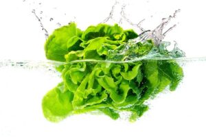 Leafy vegetables