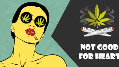 Marijuana is not Good for Your Heart