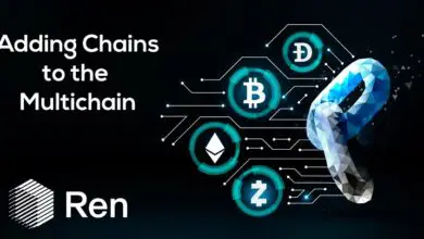 Ren - Adding New Chains to the Multichain
