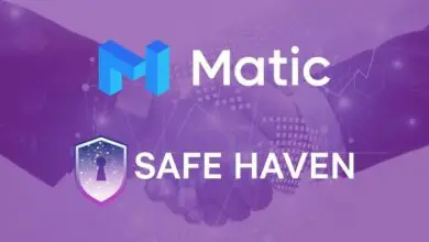 Matic Network & Safe Haven Merge