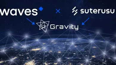 Suterusu Collaborates with Gravity Protocol