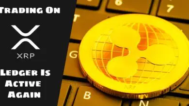 DeFi Made Ripple’s Internal Trading on XRPL to Rise Again