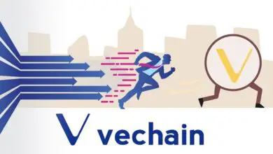 VeChain (VET) News