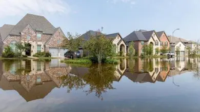 Columbia Prepares its Citizens for Hurricane Irma