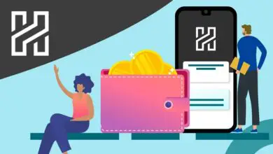 Haven Starts Building Ledger Hardware Wallet Application