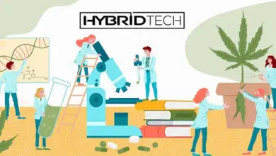 A Brand New Lab Planning & Processing Division Unveiled by Hybrid Tech