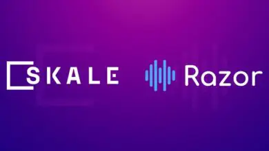 Razor Network Joins Hands With Elastic Blockchain Skale