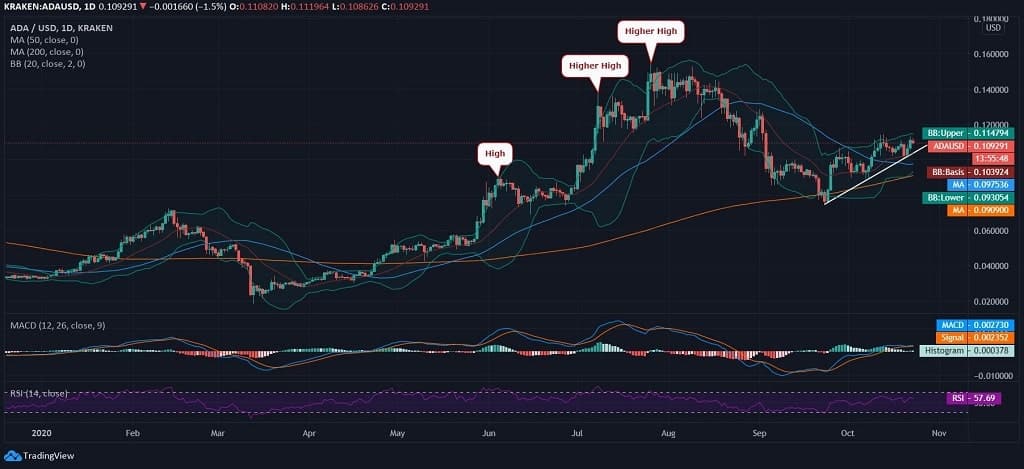 Cardano News