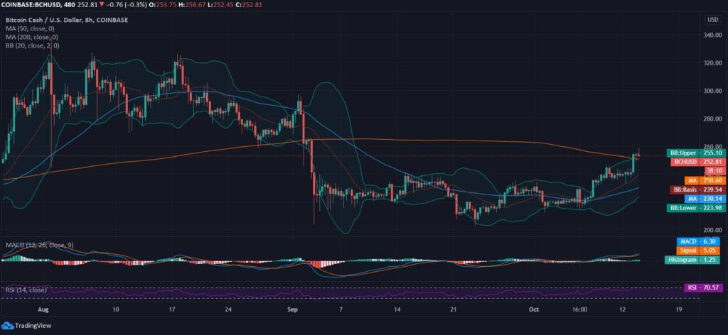 Bitcoin Cash News