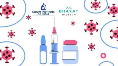 Serum Institute, Bharat Biotech to Begin COVID19 Vaccine Trials