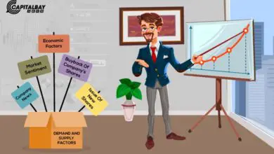 Factors That Determine Share Prices in the Stock Market
