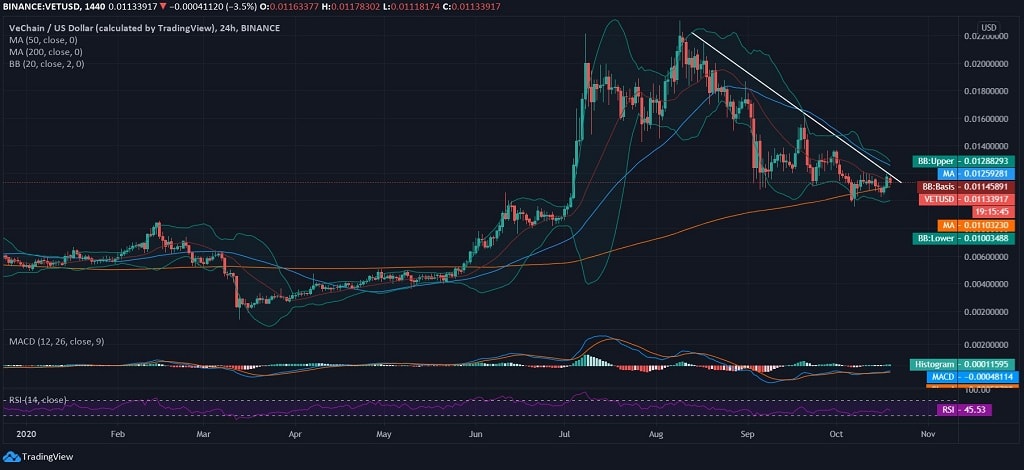 VeChain News