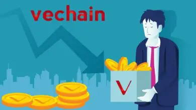 VeChain (VET) News