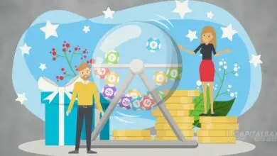 Things You Need to Know About Bingo Bonus