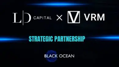 China-based LD Capital Teams Up With VRM