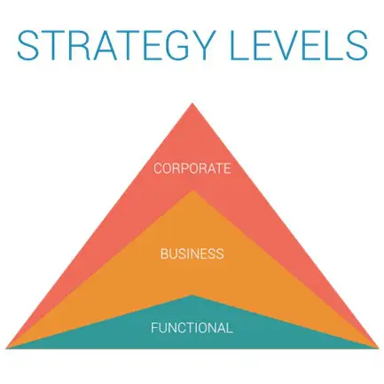 Jenis Strategi Tingkat Bisnis
