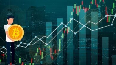 Volatile Is the Price of Bitcoin