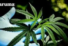 Applied Cannabis Research Partners with Aruma Labs