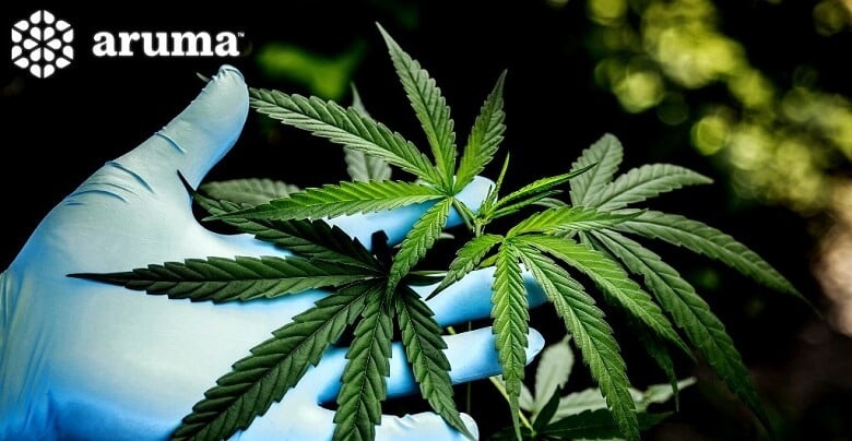 Applied Cannabis Research Partners with Aruma Labs