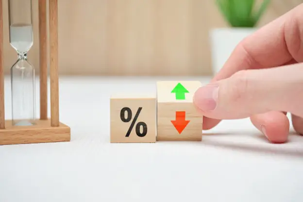 Determinants of interest rate