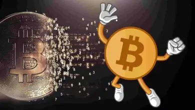 Bitcoin Guide: Everything You Must Know!