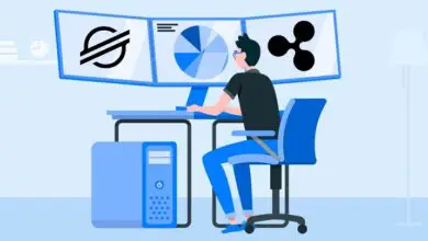 Stellar Vs. Ripple
