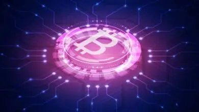 Comparison of Bitcoin and Blockchain